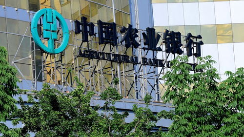 国家队出手 汇金增持农行3727万股a股,未来拟继续增持