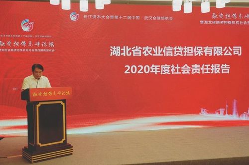 融资担保高峰论坛暨湖北省融资担保机构社会责任报告发布会在武汉举行