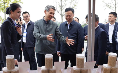 湖北 打造金融服务乡村振兴新模式