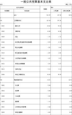 襄阳市人民政府金融办公室2019年预算公开说明
